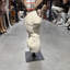 Statue de torse masculin Andrea Andrea