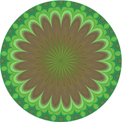 Performance Wool Oriental Indoor Rug