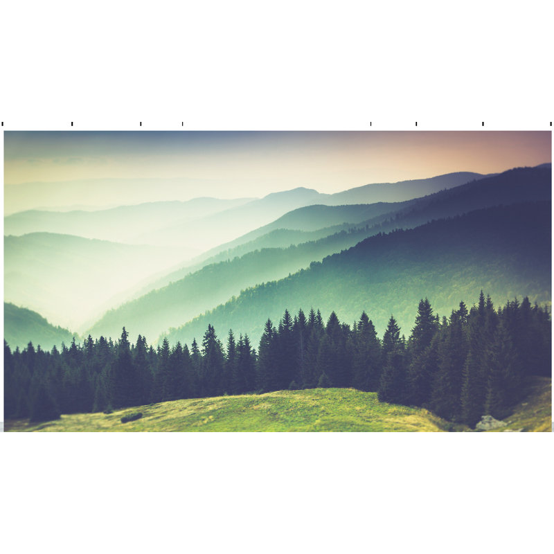 Bagley Peel & Stick Wall Mural, 144" W X 108" L