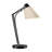 Reach 21.9" Desk Lamp-114977269-114977264