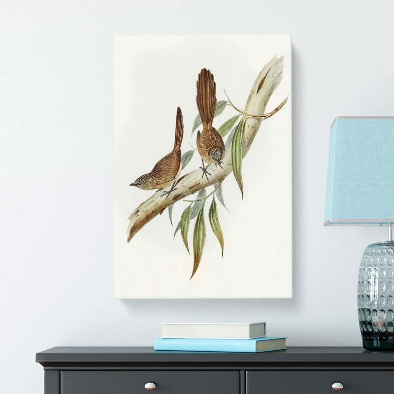 Large-Tailed Wrens by Elizabeth Gould - Wrapped Canvas, 50cm H x 35cm W x 3cm D