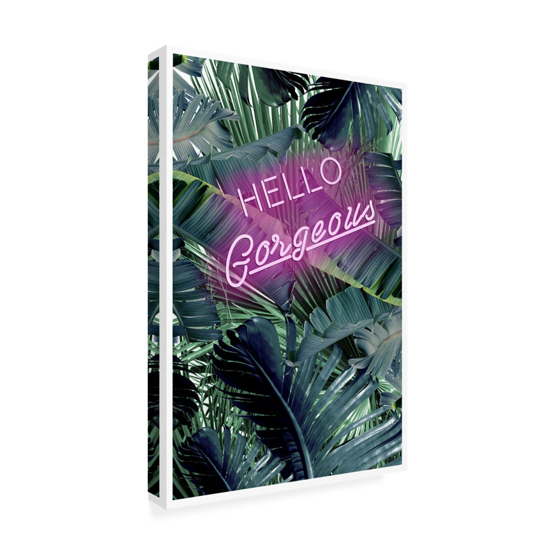 Œuvre sur toile, «Hello the magnifique», H 22 po x l 32 po