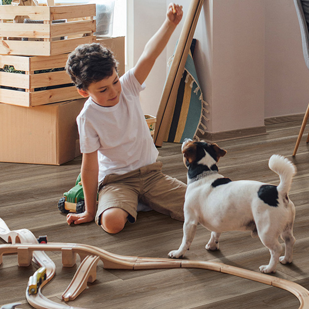 Kid-Proof, Pet-Proof – Scratch, Dent and Fade Resistant
