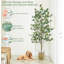 Faux arbre eucalyptus 6 pi