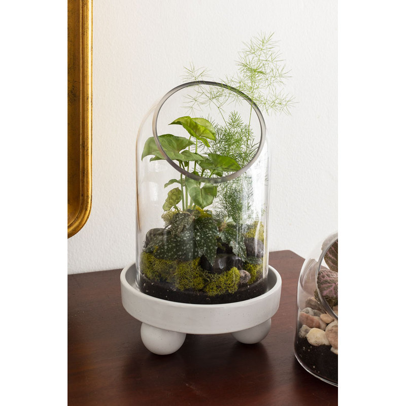 Support pour plante Eaves Nixie