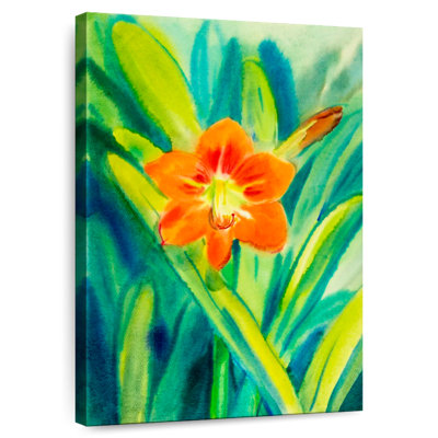 Harnek Amaryllis