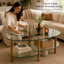Table basse moderne ovale avec plateau en verre trempé, tablettes de rangement et structure en métal-1517398934-1515439435