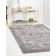 Ameire Oriental Indoor Rug