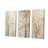 Minimalism Beige Sycamore Tree Solitude - Tree Sycamore Wall Decor Set Of 3-227412854-227412851