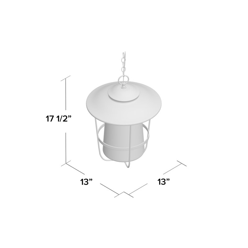 Tyler Outdoor Hanging Lantern, Black