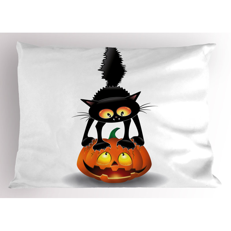 Ensemble de 2 taies décoratives pour chat Ambesonne, H 20 po x l 26 po