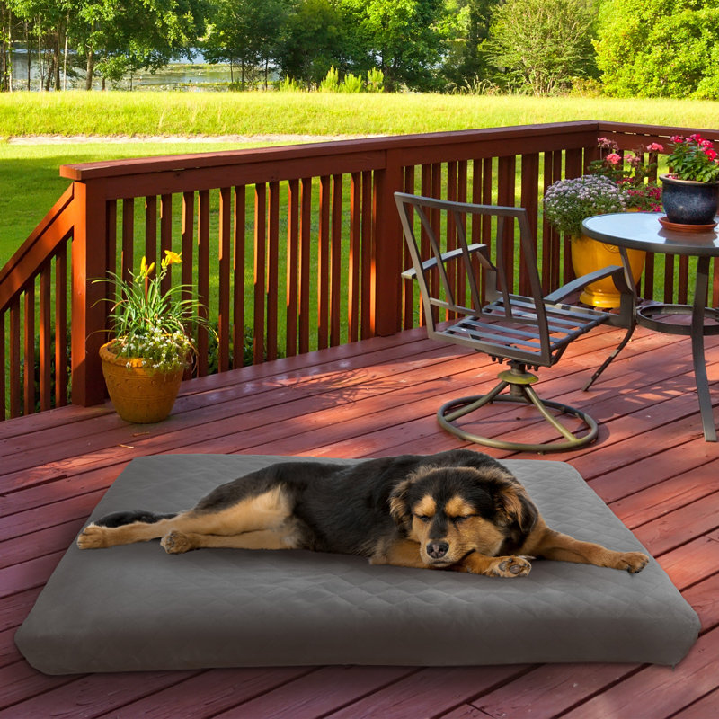 Orthopedic Mesh Pet Bed