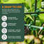 Pinces à piquets de jardin C-BITE - Paquet de 100 connecteurs de support pour plantes pour treillis personnalisés