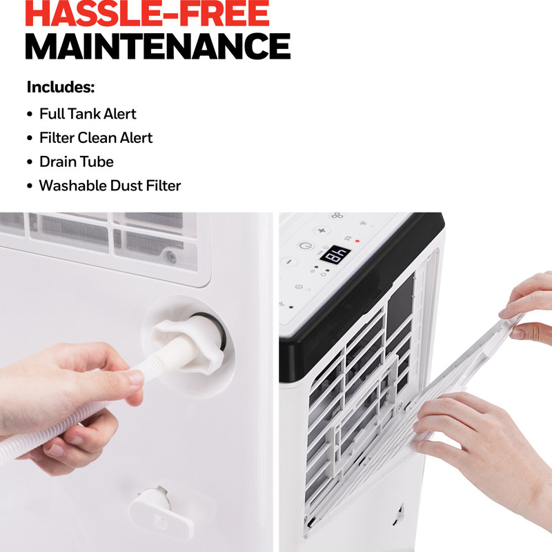 Honeywell 50 Pint White Portable Dehumidifier with Built-in Pump