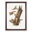 Flying Squirrels by J.W. Audubon - Framed Print-55576125-55576127