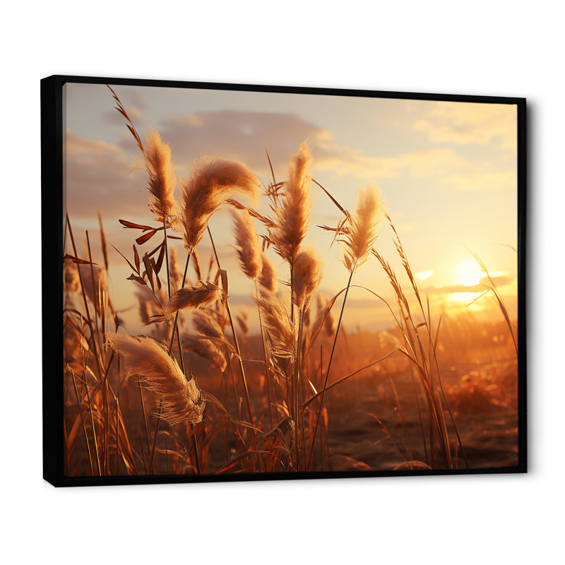 Coucher de soleil, Meadows d'été I, Cadre flottant noir, H 24 po x l 32 po x P 1 po