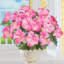 Buissons d'hibiscus-671318903