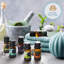 Oils & Scents