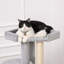 Shelburne 150 cm H Cat Tree / Condo