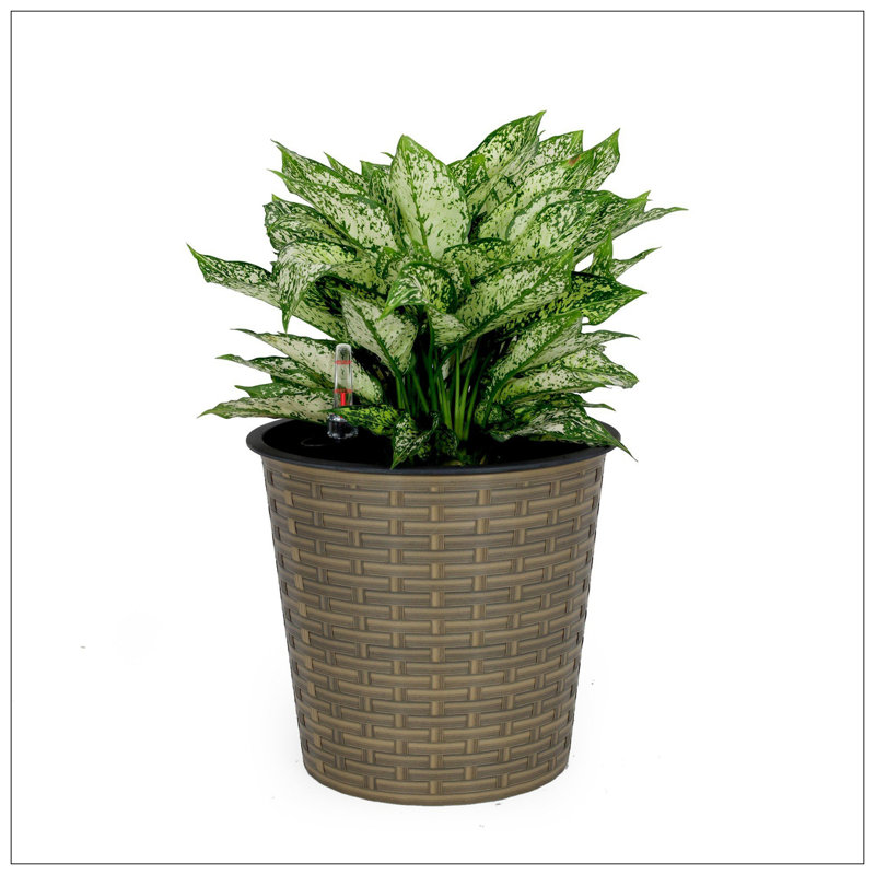 Shaian Pot Planter, 9.4" H x 10.2" W x 10.2" D, Brown