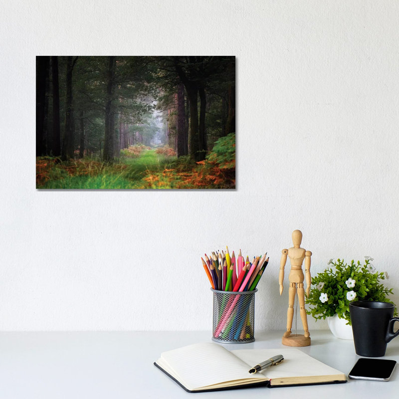 Entering the Forest 1 Piece Wrapped Canvas Wall Art, 20.32cm H x 30.48cm W x 1.905cm D