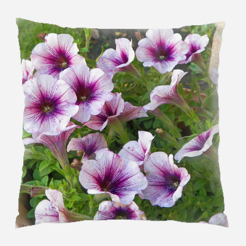 Housse et insert de coussin carré Mcgriff, Microsuède, Intérieur