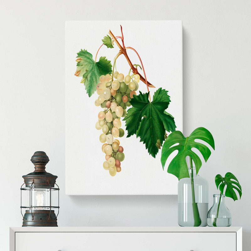 Muscat Grapes by Giorgio Gallesio - Wrapped Canvas Painting, 50cm H x 35cm W x 3cm D