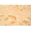 Tapis en laine beige 8 pi x 10 pi "one-of-kind" noué la 2010 chobi Allahna