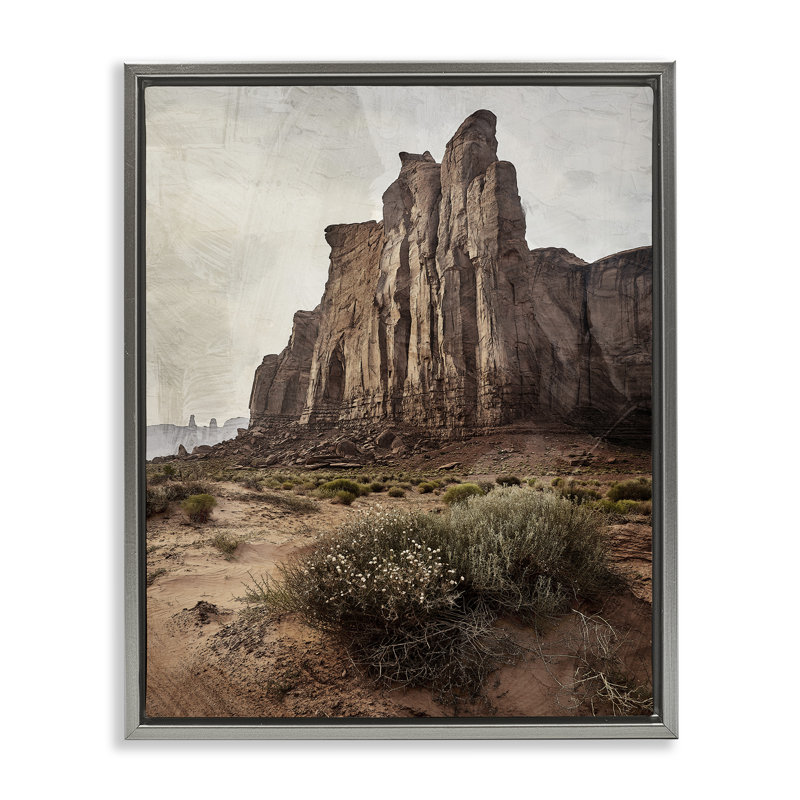 Cadre flottant Desolate Rock View, design par Kim Allen, Cadre flottant gris lustré, H 31 po x l 25 po