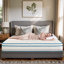 Large Double Rolled Pocket Sprung Mattress, Medium Firm 26cm, in 1.35M/1.5M/1.8M Large Dimensions, Shipped from UK-120811189