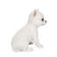Polyresin Garden Statue-364149139
