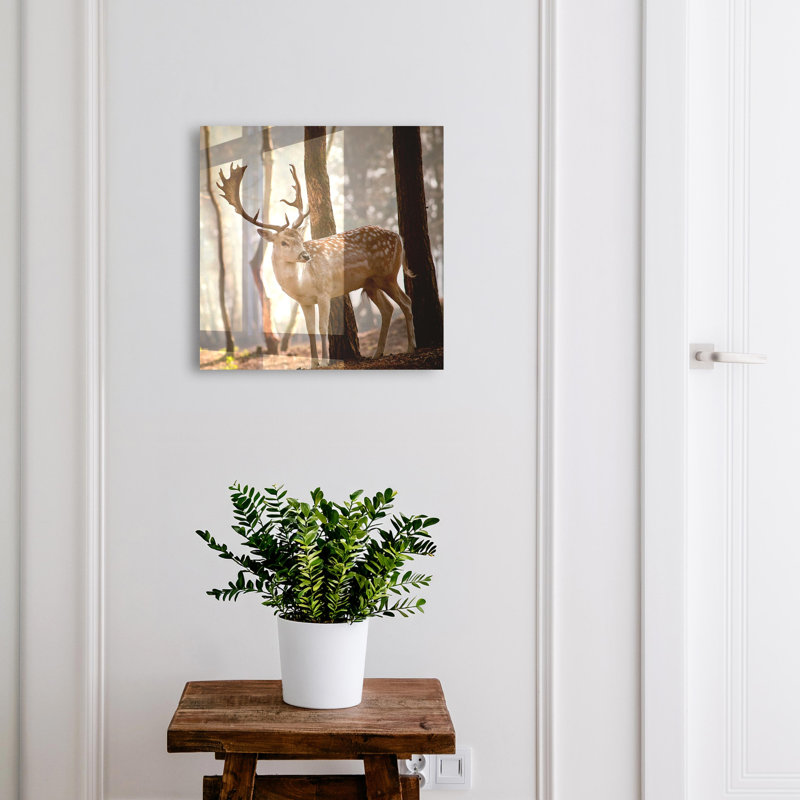 Key cabinet for wall, Opens to the right, 30x30x5, Black, Deer in the forest at sunset, 