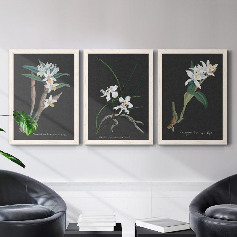 Orchidée sur ardoise I - ensemble de 3 peintures sur toile encadrées, Blanc, H 31,5 po x l 47 po x P 1,5 po
