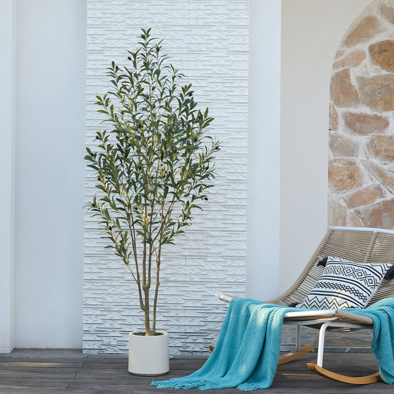 Adcock Artificial Olive Tree in Round Planter, UV Protected Faux Olive Tree for Indoor Home Decor, 72" H x 24" W x 24" D