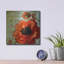 Winston Porter «Rouge From The Garden 3» par Art Licensing Studio, art mural en métal-1602491458