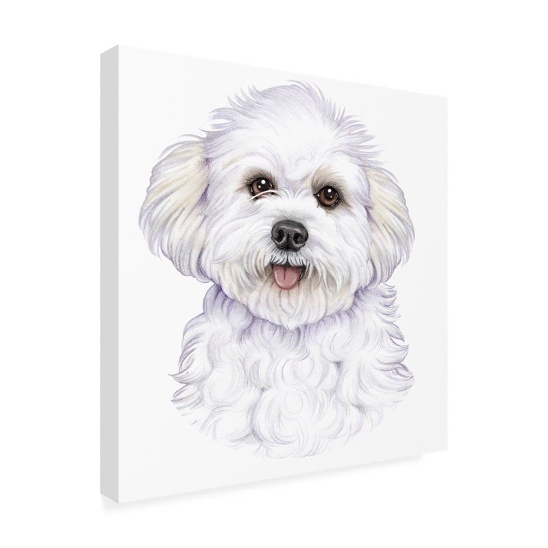 Art sur toile Bichon frisé par Tomoyo Pitcher, H 24 po x l 24 po x P 2 po
