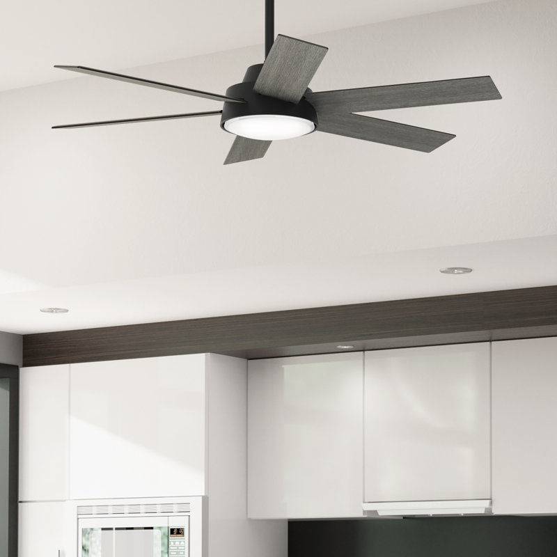 Donatella 52" 6 - Blade Ceiling Fan with Lights and Remote, Black
