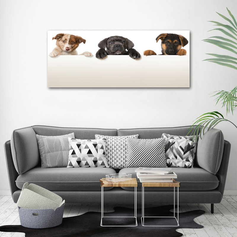 Three Puppies - Print, 50cm H x 125cm W x 2cm D, Canvas