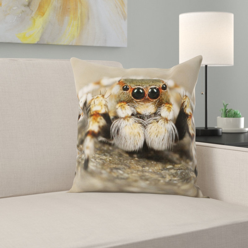 Coussin de spider saut