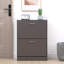 12 Pair Shoe Storage Cabinet