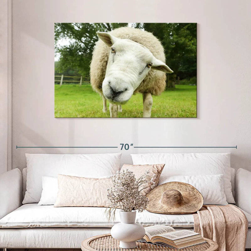 Nosy Sheep, H 30 po x l 45 po
