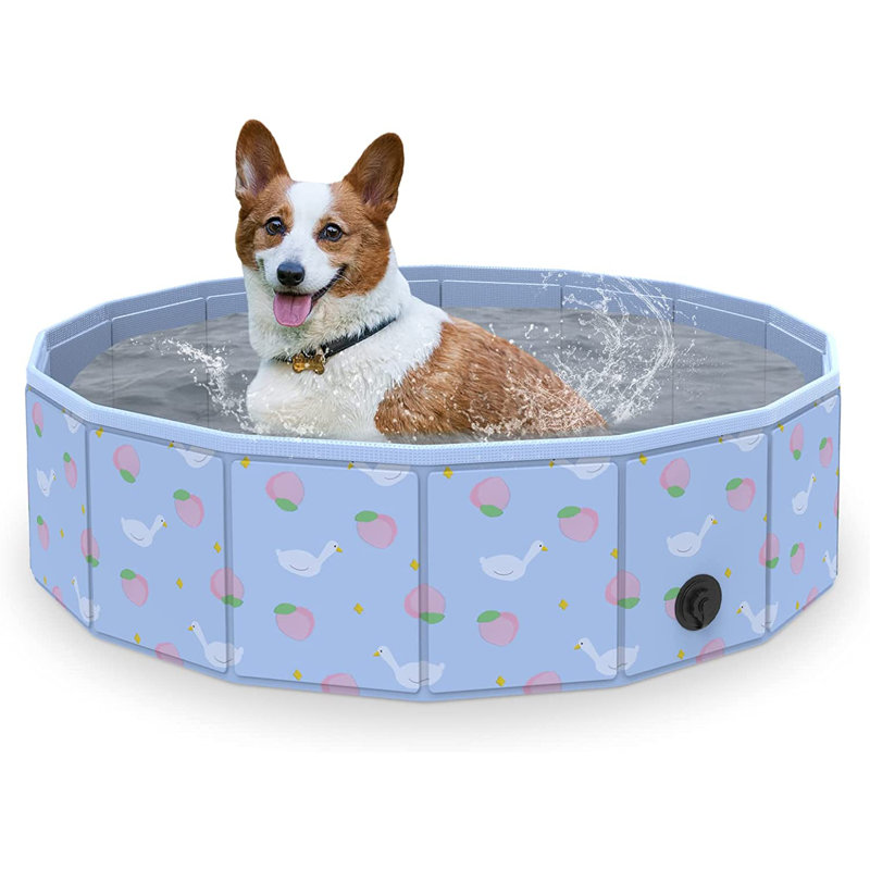 Piscine en plastique LUCKUP, L 12,76 po x l 10,47 po x H 2,56 po