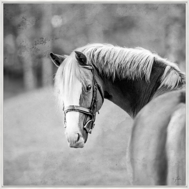 CeCe II par Brandon Luther - photographie sur toile