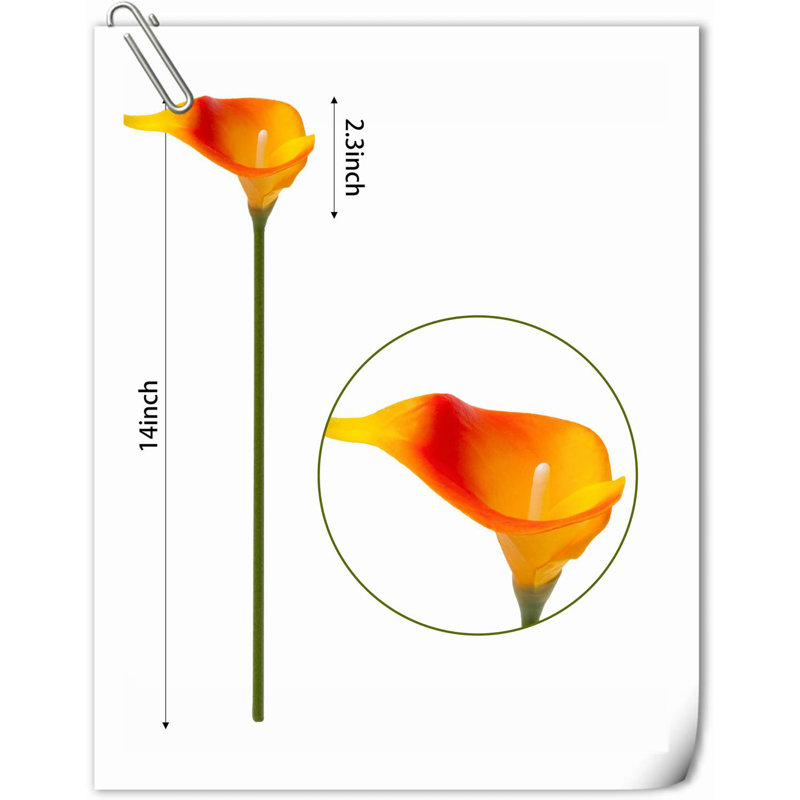 Arrangement Lillies, H 13,58 po x l 2,3 po x P 3 po, Coucher de soleil