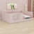 Rose est en rupture de stock