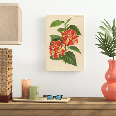 Hibiscus par Wild Apple Portfolio - impression sur toile tendue