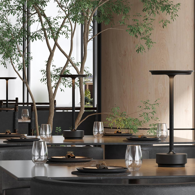 Ensemble de 2 lampes de table sans fil, lampe de table rechargeable à DEL avec 3 réglages de température, gradation continue, pile 5000 Mah, USB-C, mémoire, alliage d'aluminium, pour la maison, le patio, le restaurant, l'extérieur