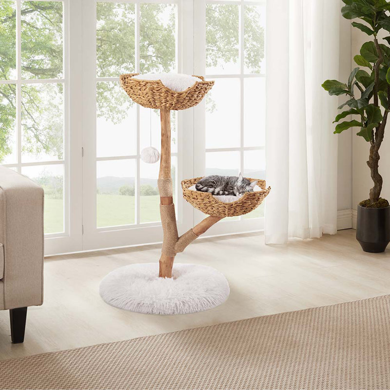 Tour à chat en bois pour grands chats 20 lb