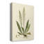 Curtis Ferns III - peinture sur toile tendue-858586997