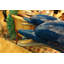 Statue / fontaine en bronze bronze Cinq dauphins en forme de vague - Taille: L 47 po x l 27 po x H 84 po.